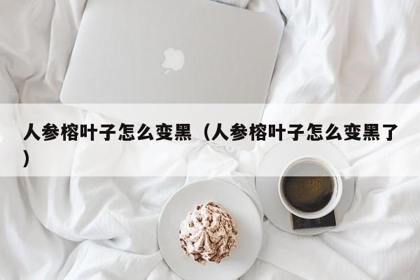 人参榕叶子怎么变黑（人参榕叶子怎么变黑了） 